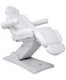 Silver Fox 2235D Glo+ Electric Facial & Treatment Chair -image1