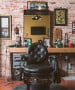 Alesso Professional Barber Chair-image6