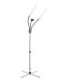 Daylight Gemini LED Floor Lamp-image1