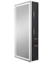 Pibbs 9110 Lumina Gold Handle LED Salon Mirror & Storage Server-image4