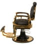 Caesar Gold Professional Barber Chair-image3