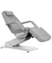 Silver Fox 2221D Electric Facial & Massage Chair-image1