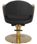 Luna Gold Styling Chair-image4