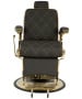 Zeus Gold Professional Barber Chair-image2