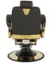 Zeus Gold Professional Barber Chair-image4