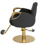 Venus Gold All Purpose Chair-image3