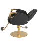 Venus Gold All Purpose Chair-image5