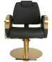 Venus Gold All Purpose Chair-image2