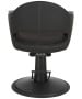 Luna Noir Salon Styling Chair-image9