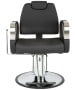 Venus Silver All Purpose Chair-image9