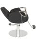 Venus Silver All Purpose Chair-image4