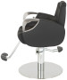 Venus Silver All Purpose Chair-image6