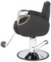 Venus Silver All Purpose Chair-image13