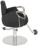 Venus Silver All Purpose Chair-image3