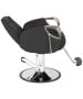 Venus Silver All Purpose Chair-image11