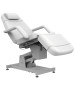 Silver Fox 2219B Facial Bed and Exam Chair-image1