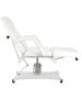 Silver Fox 2206A Luxury Hydraulic Facial Chair-image3