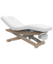 Silver Fox 2256B Electric Massage & Spa Table-image1