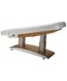 Silver Fox 2259+ Electric Massage & Spa Table-image7