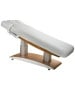 Silver Fox 2259+ Electric Massage & Spa Table-image8