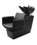 Collins 69BWS Cigno Backwash Shuttle-image2