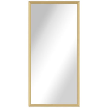 Alexa Full Length Salon Mirror & Frame