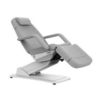 Silver Fox 2221D Electric Facial & Massage Chair