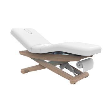 Silver Fox 2256B Electric Massage & Spa Table