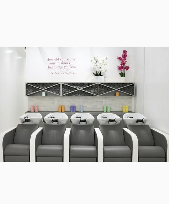 Salon Ambience Iconwash Backwash Unit