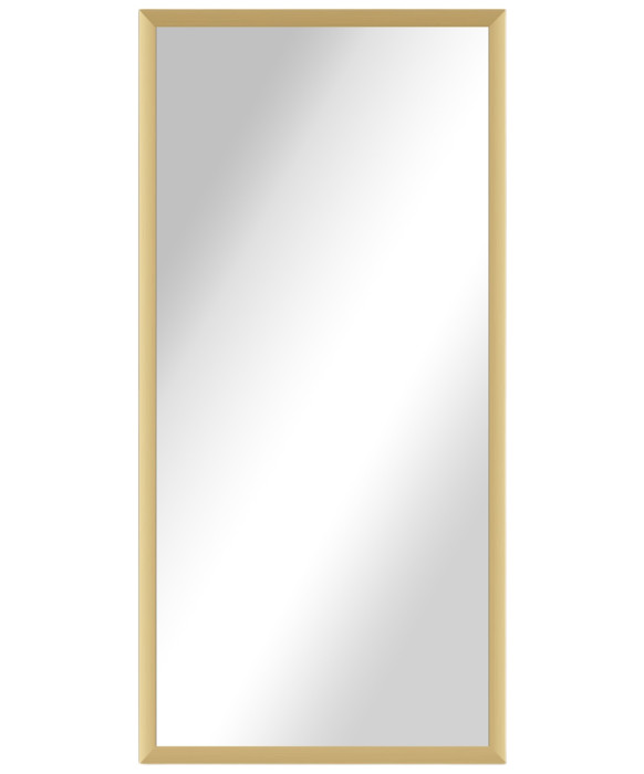 Alexa Full Length Salon Mirror & Frame