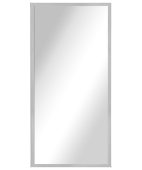 Alexa Full Length Salon Mirror & Frame