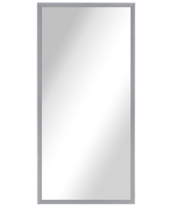 Alexa Full Length Salon Mirror & Frame