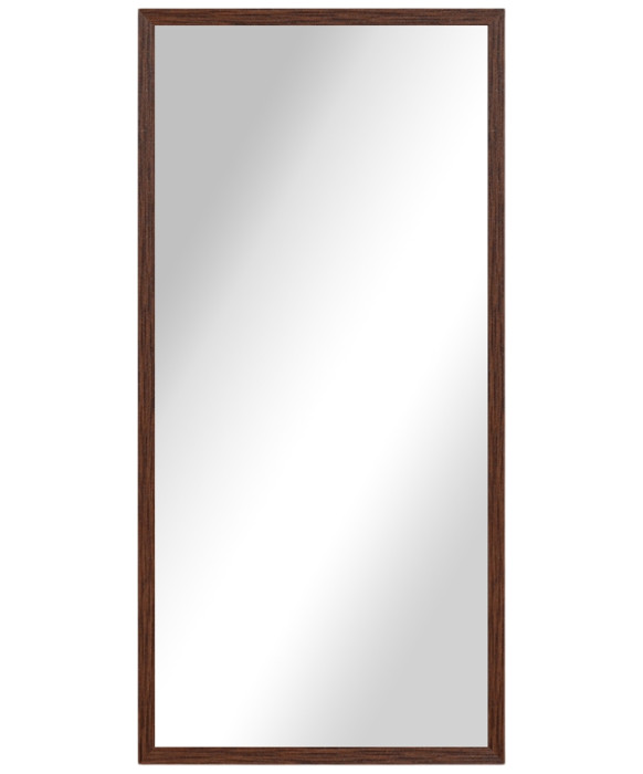 Alexa Full Length Salon Mirror & Frame