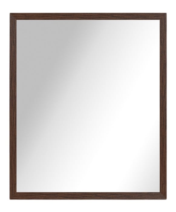 Olivia Rectangle Salon Mirror & Frame