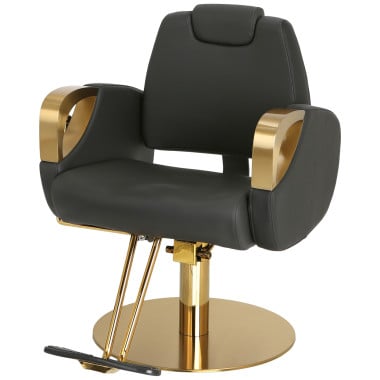 Venus Gold All Purpose Chair image