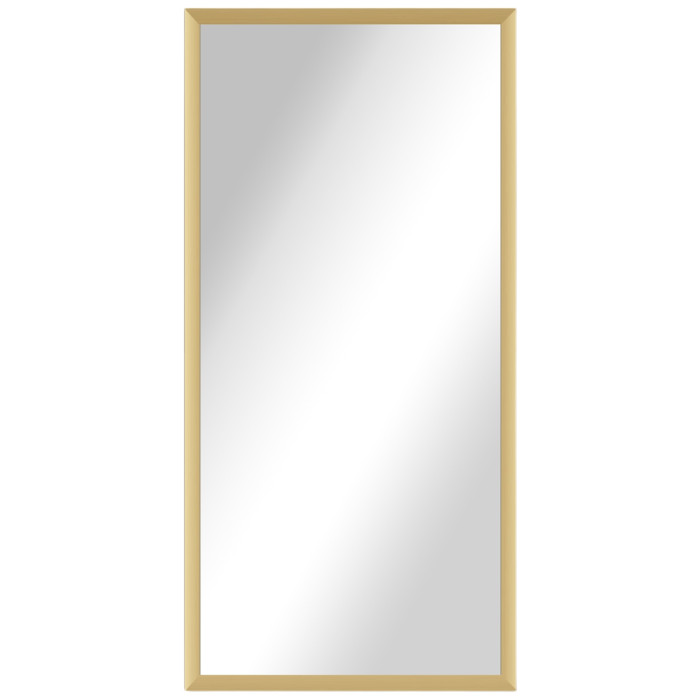 Alexa Full Length Salon Mirror & Frame