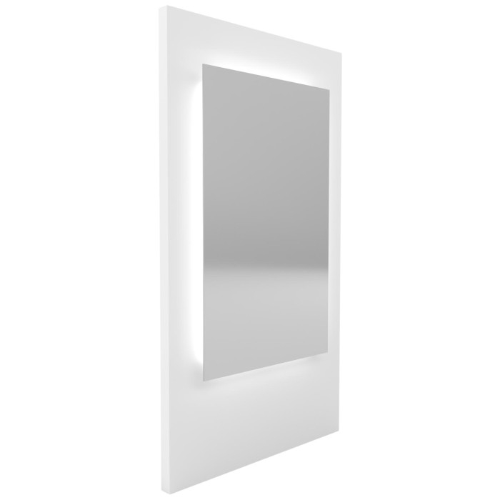 Collins M05 48" Rectangular LED Salon Mirror